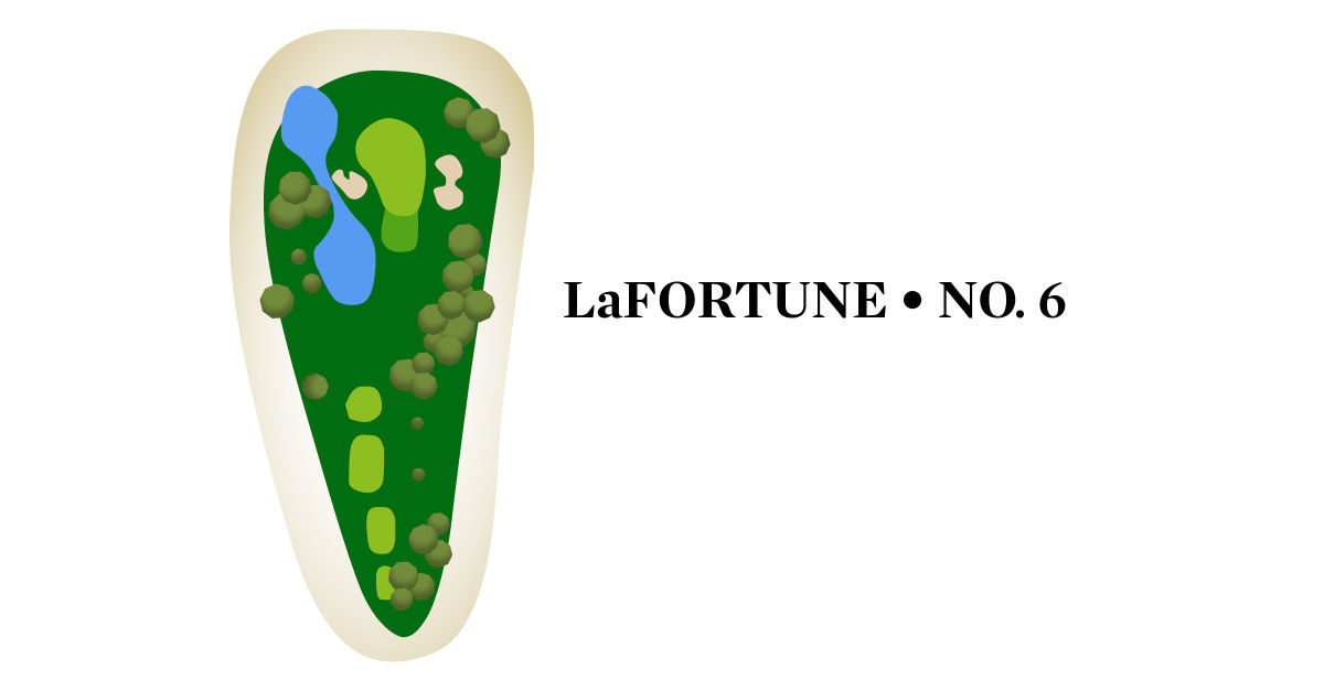 No. 6 at LaFortune (par-3, 167 yards)